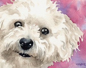 BICHON FRISE Art Print by Watercolor Artist DJ Rogers