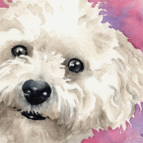 BICHON FRISE Art Print by Watercolor Artist DJ Rogers