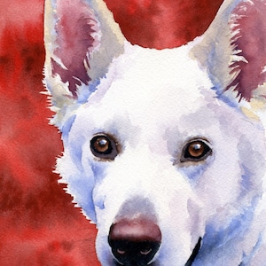 WHITE GERMAN SHEPHERD Art Print by Artist D J Rogers