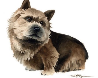 Norwich Terrier Art Print by Watercolor Artist DJ Rogers