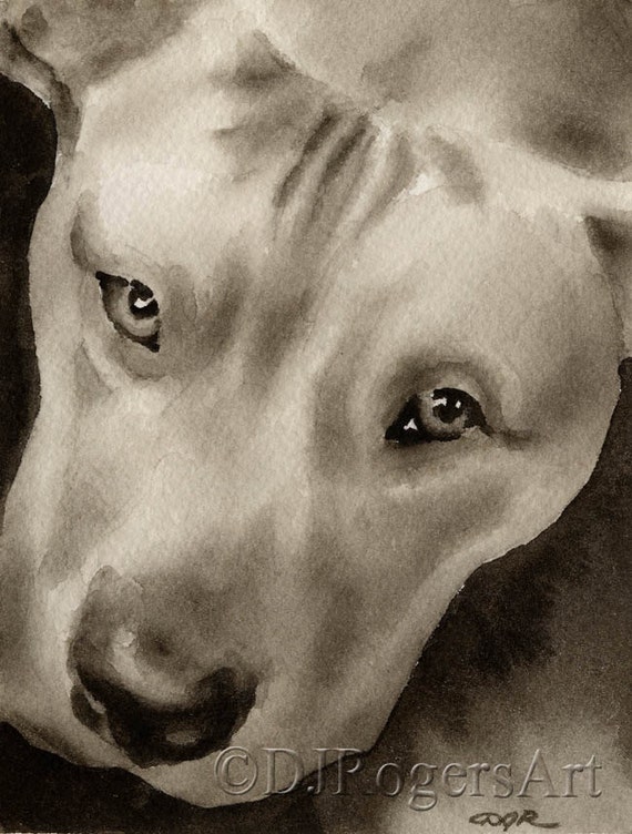 Pit Bull Terrier Puppy Art Print Sepia Painting 5 x 7 by Watercolor Artist DJR