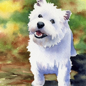 White WEST HIGHLAND TERRIER Art Print by Artist D J Rogers