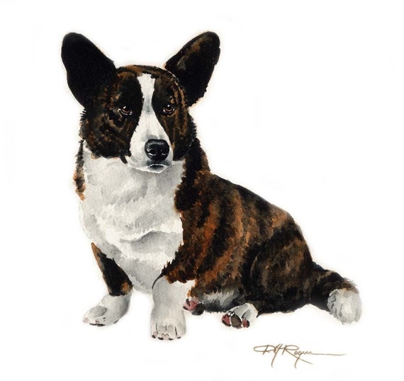 Cardigan Welsh Corgi Art Print Sepia Watercolor 11 x 14 by Artist DJR