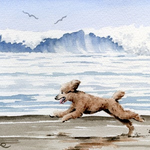 Poodle Art Print &quot;Brown POODLE At The BEACH&quot; by Artist DJ Rogers