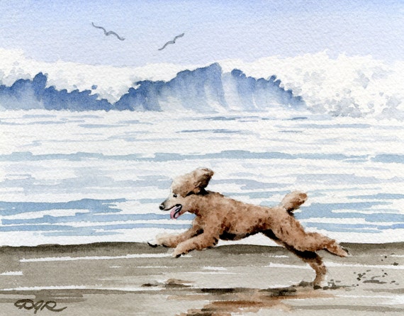 Black POODLE AT THE BEACH Dog Watercolor 11 x 14 Art Print by Artist DJR