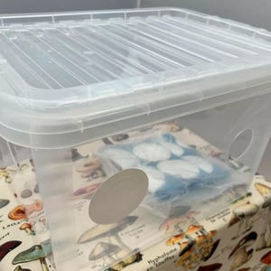 May include: A clear plastic storage container with a lid. The container is sitting on a fabric surface with a mushroom print. Inside the container is a blue bag with white circles.
