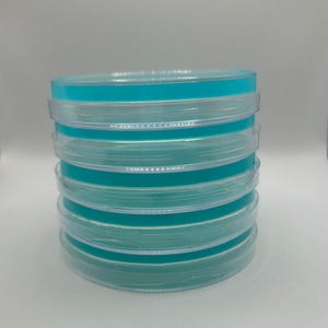Light Malt Extract (LME) Agar Plates x5 - 90 x 15.7mm
