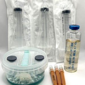 以下が含まれることがあります： 青い液体の中で白いキノコが育っている透明なプラスチック容器。オレンジ色の注射器3本と、青いキャップが付いた透明なガラス瓶も含まれており、瓶には「CALL 08006997269 LION'S MANE LIQUID CULTURE MAKING KIT 40ml」とラベルが貼られています。