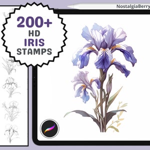 May include: 200+ HD Iris Stamps digital download for Procreate.  The image shows a purple and white iris flower with green leaves.  The text "200+ HD Iris Stamps" is in a purple starburst.