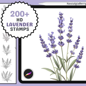 Procreate Stamps: Lavender Flower Stamp Pack, Over 200 Lovely Floral Designs