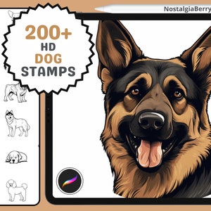 Pode incluir: Uma ilustração digital da cabeça de um cão pastor alemão. O cão tem pelo marrom e preto e está olhando diretamente para o espectador. A língua do cão está para fora. A imagem está sobre um fundo branco. O texto "200+ HD DOG STAMPS" está em um círculo preto com um contorno marrom. O texto "NostalgiaBerry" está no canto superior direito da imagem.