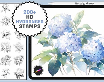 Procreate Stamps: Hydrangea Flower Stamp Pack, Over 200 Elegant Floral Designs