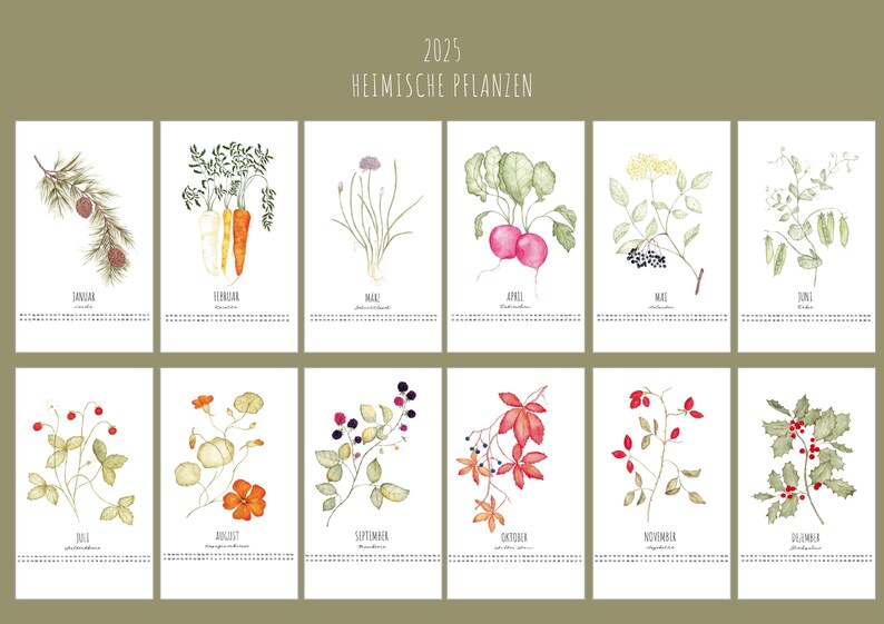 Wandkalender 2025, Heimische Pflanzen, Aquarell Kalender, Botanik 