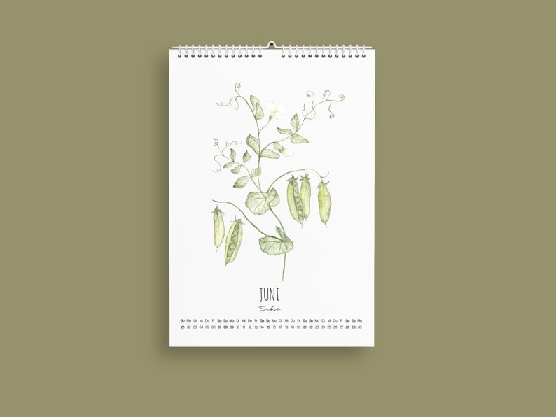 Wandkalender 2025, Heimische Pflanzen, Aquarell Kalender, Botanik 