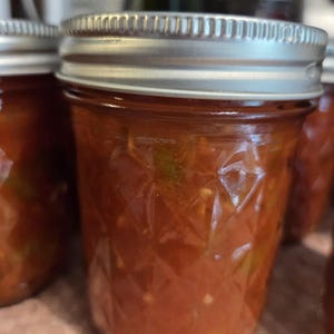 Garden Fresh Salsa- Medium Hot-Organic~Waterbath canned
