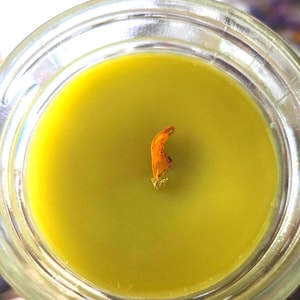 Jewelweed Plantain salve-4 oz jar- handmade, all natural green salve