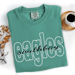 Comfort Color  Team Name Mascot T-shirt, Custom School Mascot Shirt, Back to School Spirit Shirts, School Logo Tee, Mascot High School Shirt