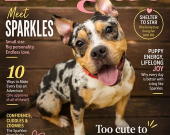 Custom Pet Magazine Cover | Personalized Dog or Cat Portrait | Faux Magazine Cover from Your Photo | Pet Lover Gift | Digital Download