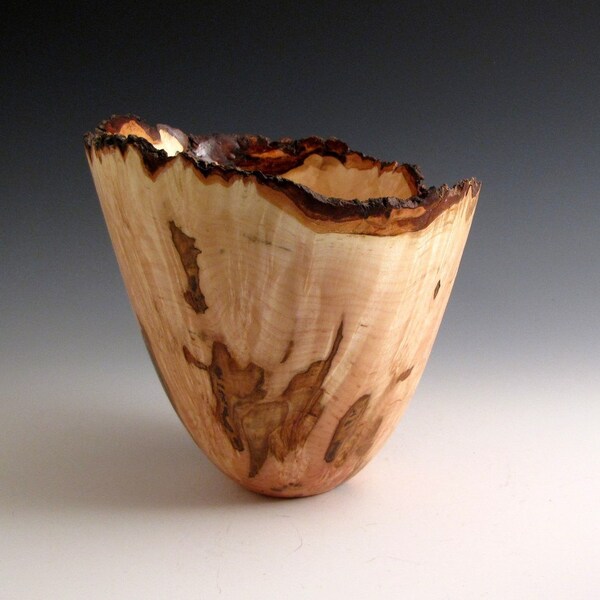 Natural Bark Edge Ambrosia Maple Burl Wood Turned Bowl