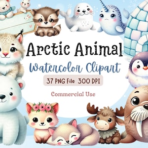 Bundle de cliparts animaux de l'Arctique, aquarelle de cliparts animaux, hiver, illustration numérique, igloos, pingouins, animal d'hiver, pôle Nord, fichier PNG