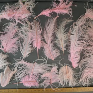 Group of Light Pink Vintage Feathers, Millinery Trim, Crafts, 1950s 1960s, 18 Piece Feather Lot
