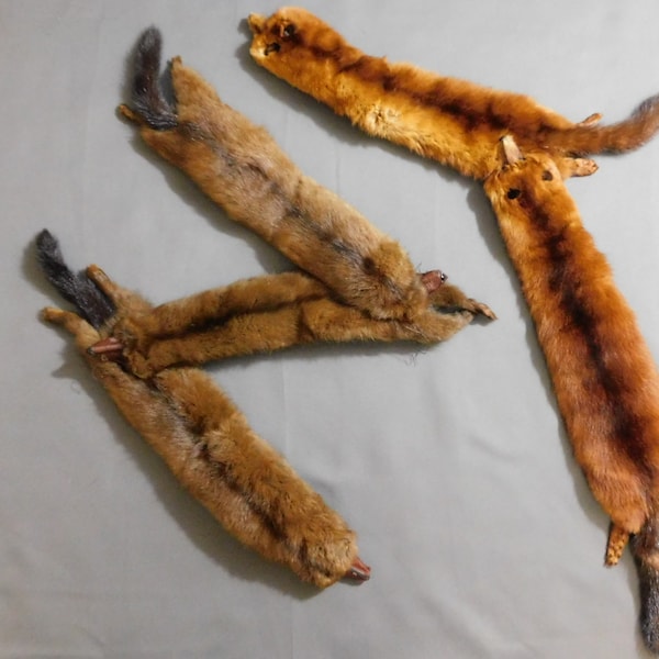 2 Sets of Partial Mink Fur Vintage Stoles Scarves, 2 and 3 pelts Bodies 1950s