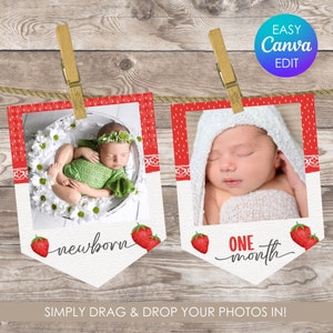 Berry Sweet One Birthday Monthly Banner Strawberry 1st Birthday Monthly Banner Garland Farmers Market Birthday Decorations Strawberry Theme