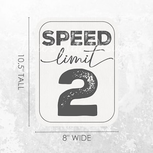 Speed Limit 2 Sign, Two Fast Birthday Sign, 2 Fast 2 Curious, Race Car Party, Vintage Race Car Birthday, 2 Fast Birthday, Instant Download image 2