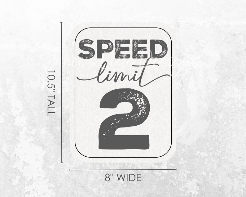 Speed Limit 2 Sign, Two Fast Birthday Sign, 2 Fast 2 Curious, Race Car Party, Vintage Race Car Birthday, 2 Fast Birthday, Instant Download image 2