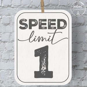 Speed Limit 1 Sign, Fast One Birthday Decorations, Race Car Birthday, 1st Lap Around The Track, Vintage Race Car Birthday, Instant Download