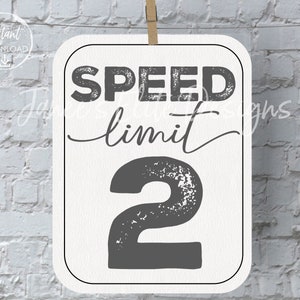 Speed Limit 2 Sign, Two Fast Birthday Sign, 2 Fast 2 Curious, Race Car Party, Vintage Race Car Birthday, 2 Fast Birthday, Instant Download image 1