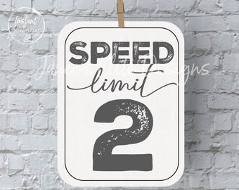 Speed Limit 2 Sign, Two Fast Birthday Sign, 2 Fast 2 Curious, Race Car Party, Vintage Race Car Birthday, 2 Fast Birthday, Instant Download