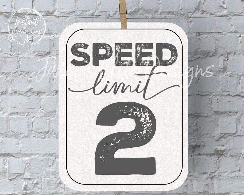 Speed Limit 2 Sign, Two Fast Birthday Sign, 2 Fast 2 Curious, Race Car Party, Vintage Race Car Birthday, 2 Fast Birthday, Instant Download image 1