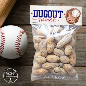 Baseball-Geburtstags-Gastgeschenke All-Star-Sport-Geburtstags-Gastgeschenke für Gäste in Masse Rookie des Jahres Baseball druckbare Tags Ende der Saison