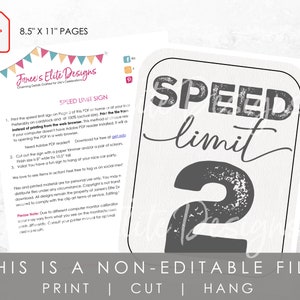 Speed Limit 2 Sign, Two Fast Birthday Sign, 2 Fast 2 Curious, Race Car Party, Vintage Race Car Birthday, 2 Fast Birthday, Instant Download image 3