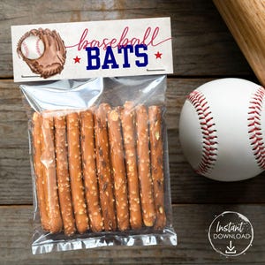 Baseball Birthday Party Favors For Guests in Bulk Rookie of the Year Baseball Birthday Favors Printable All Star Sports Favor for Team Gifts