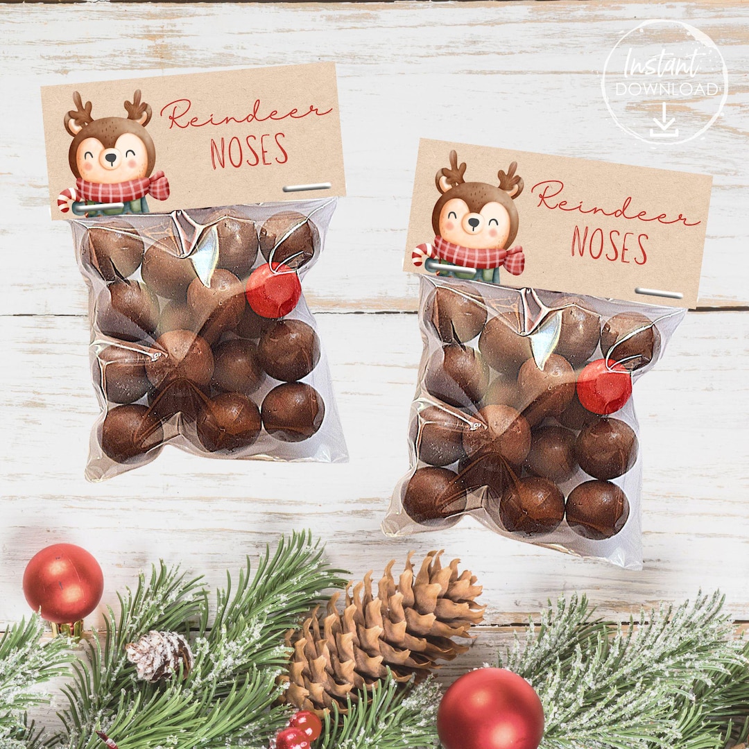 Reindeer Noses Christmas Favors for Kids Goodie Bag Fillers Coworker ...