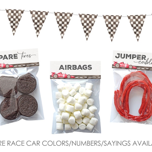 Race Car Party Favors, Fast One Birthday, Two Fast, 2 Fast, Need Four Speed, Girl Race Car Birthday, Racecar, Goody Bags, Kids Treat Bags