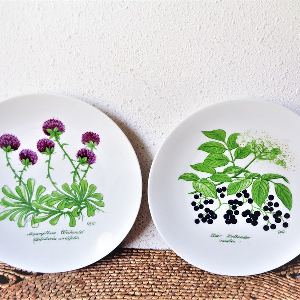 vintage botanical salad plates bareuther porcelain wildsassen 132