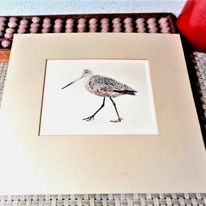 Vintage shore bird art print, Alexander Lowry, Monterey Bay, signed limited edition