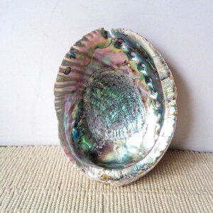 May include: An oval abalone shell featuring a highly polished, iridescent interior surface. The shell displays a vibrant spectrum of colors including deep blues, greens, purples, and pinks, with a textured, mottled central area and a smooth, pearlescent rim.
