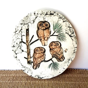 May include: A round, off-white ceramic plate featuring three brown owls perched on tree branches. The plate has a textured, cracked surface with black accents. The owls are detailed with brown and tan hues, and the branches have green pine needles.