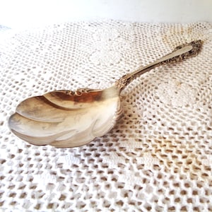 May include: A silver-toned metal serving spoon featuring a wide, shell-shaped bowl with scalloped edges. The handle is slender and decorated with intricate embossed floral and scroll patterns that extend to the neck of the spoon bowl.