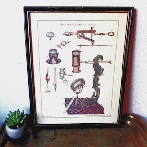 Vintage art print, antique microscopes , science instruments, Acadamia tools, framed wall decor picture
