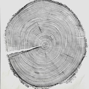 Impresión de árbol de secuoya hecha a mano de 18 x 24
