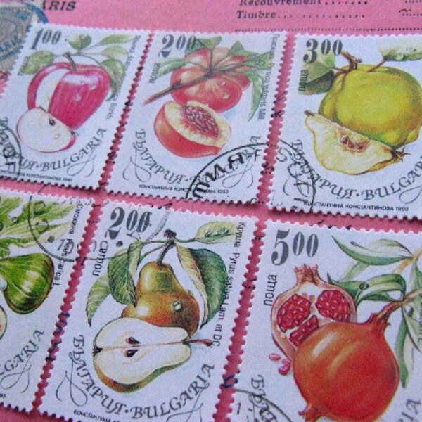 fruit stamp set - pomegranate apple pear quince fig - postage stamp ephemera - almost vintage 1993