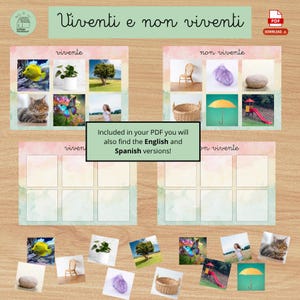 Puede incluir: Imprimible educativo con el título italiano "Viventi e non viventi" (Vivos y no vivos). Muestra imágenes de seres vivos como un gato y un árbol, y de cosas no vivas como una silla y una piedra. También incluye versiones en inglés y español.