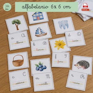 May include: A collection of square educational cards featuring watercolour illustrations of objects like a tree, sailboat, tooth, flower, basket, blueberries, and hedgehog, paired with Italian words and letters, each measuring 6 cm by 6 cm.