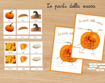 Carte nomenclature Montessori - Le parti della zucca - gioco per bambini - autunno
