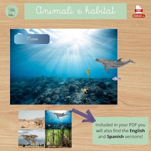 Può includere: Una risorsa educativa digitale intitolata "Animali e habitat" con una scena sottomarina con un delfino, un cavalluccio marino, una stella marina e pesci. L'immagine include la parola "Mare" e una nota sulle versioni inglese e spagnola.
